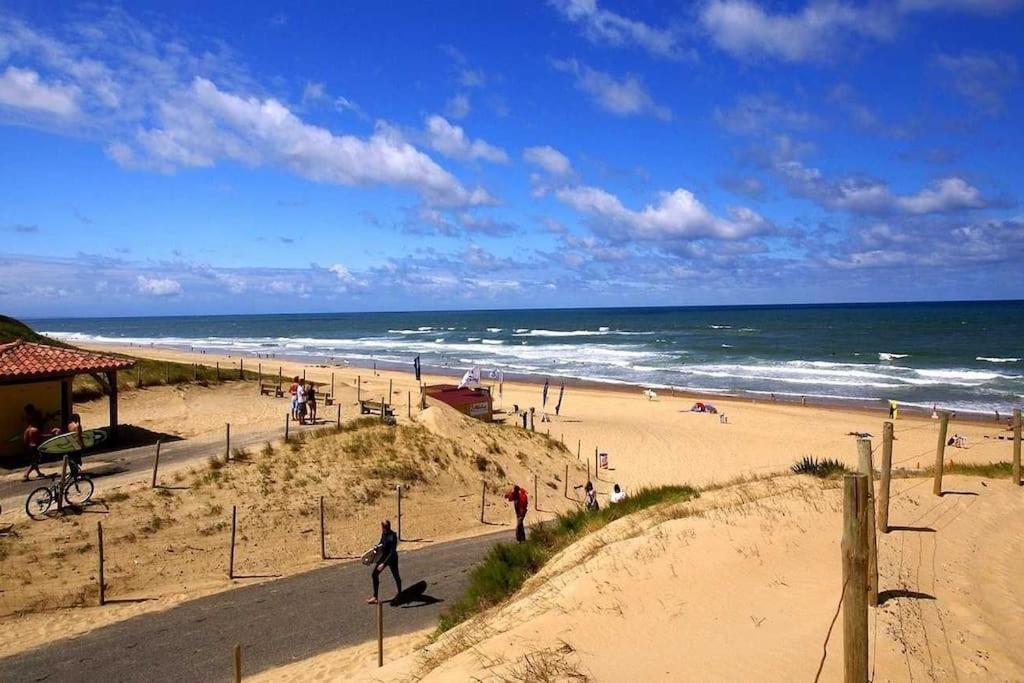 Dune Blanche 300 M De L'Ocean, Appartement Neuf 6 Personnes Seignosse Exteriér fotografie